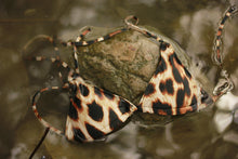 Load image into Gallery viewer, Carmen Top Cheetah